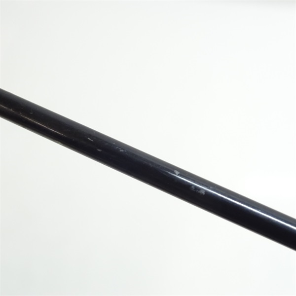 普天元 大我十三